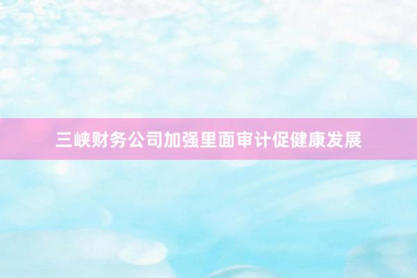 三峡财务公司加强里面审计促健康发展